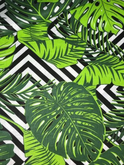 _GroSSe_gruene_Blaetter